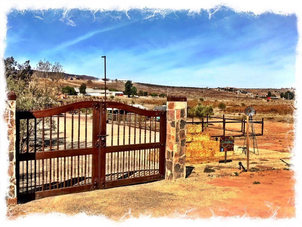 Finca Vidandrei Casa Eucalipto Valle de Guadalupe Exterior foto